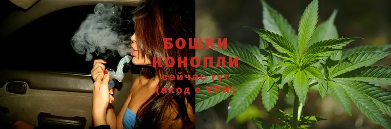 купить наркоту  Стрежевой  Бошки марихуана THC 21% 